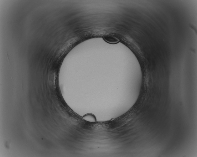 X0000100870115200807181245