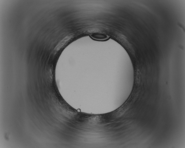 X0000100870116200807181245