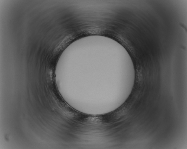 X0000100870117200807181245