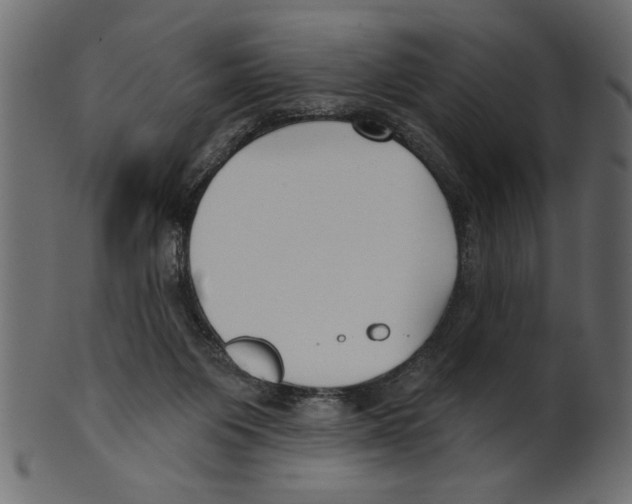 X0000100870119200807181245