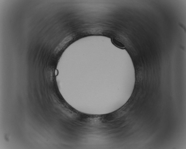 X0000100870120200807181245