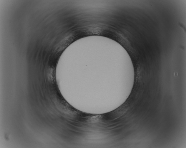 X0000100870122200807181245