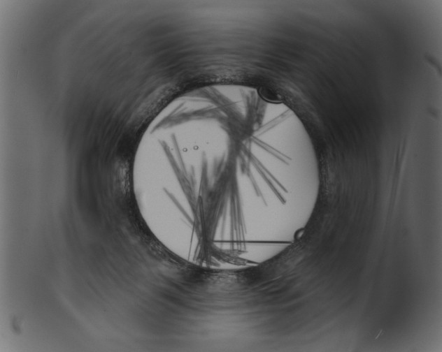 X0000100870123200807181245