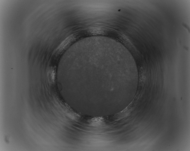 X0000100870124200807181245