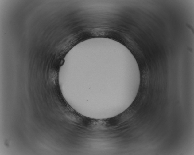 X0000100870125200807181245