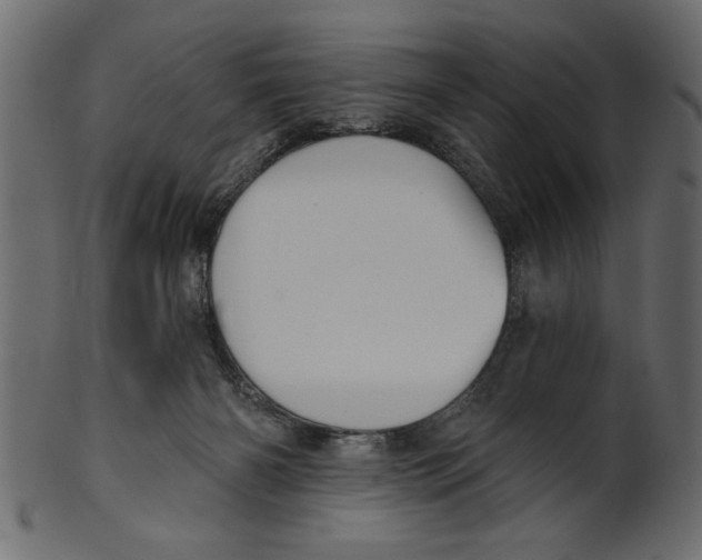 X0000100870126200807181245