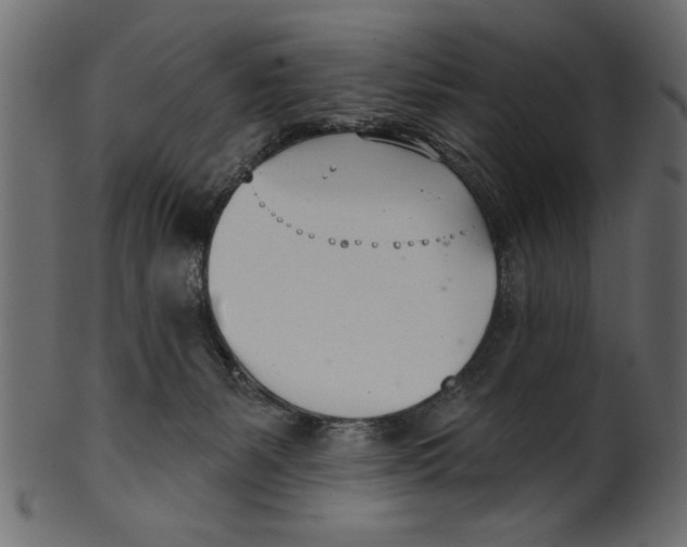 X0000100870127200807181245