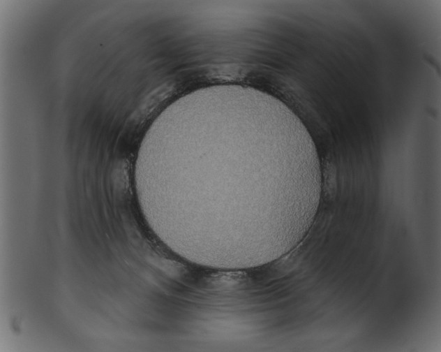 X0000100870128200807181245