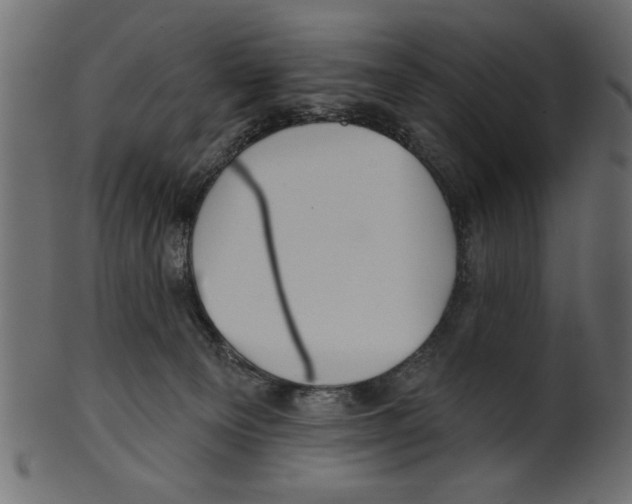 X0000100870129200807181245