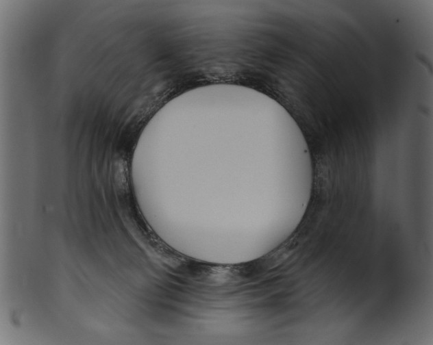 X0000100870130200807181245