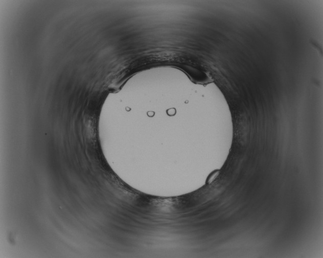 X0000100870131200807181245