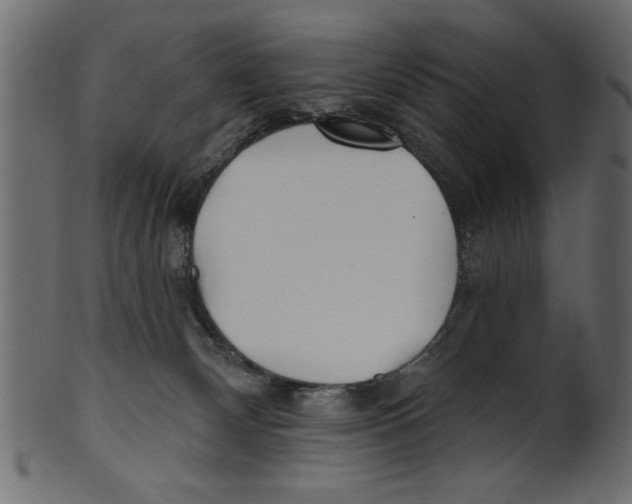 X0000100870132200807181245