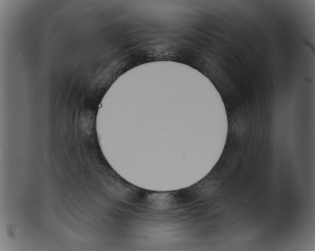 X0000100870133200807181245