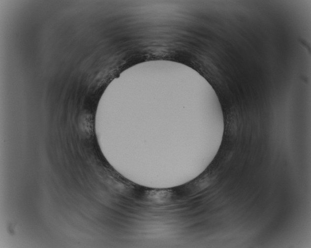X0000100870135200807181245