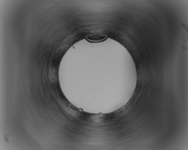 X0000100870136200807181245