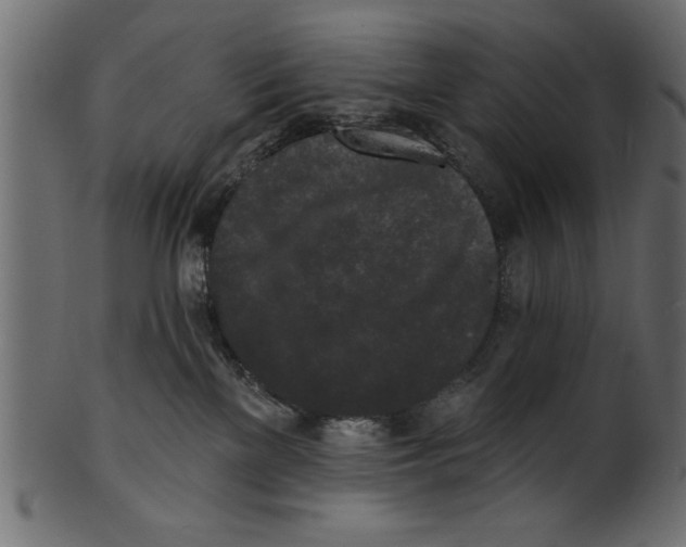 X0000100870137200807181245
