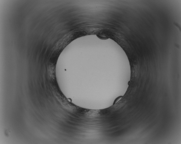 X0000100870138200807181245