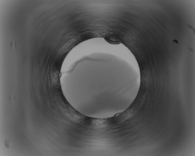 X0000100870139200807181245