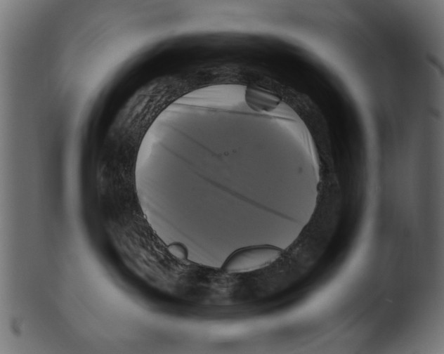 X0000100870143200807181245