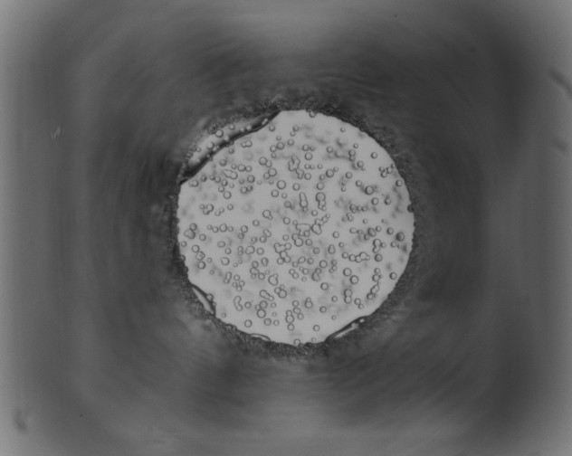 X0000100870144200807181245