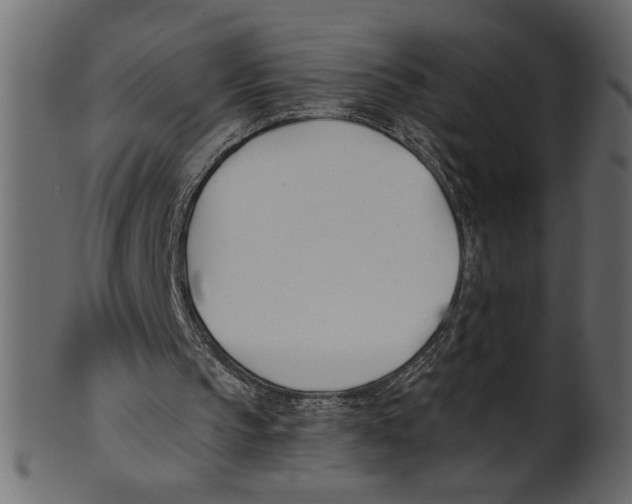 X0000100870145200807181244