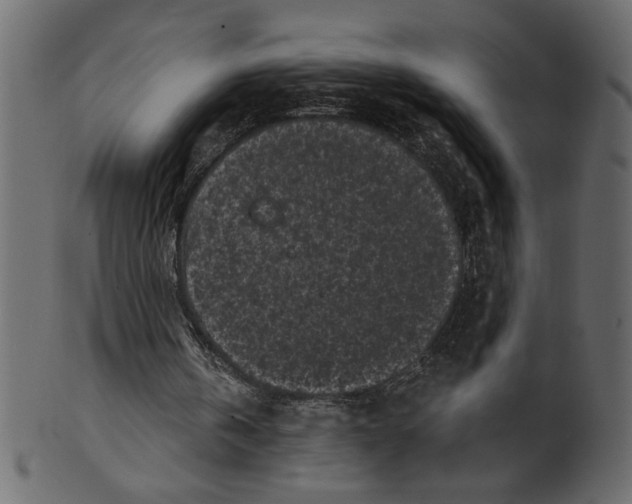 X0000100870146200807181244