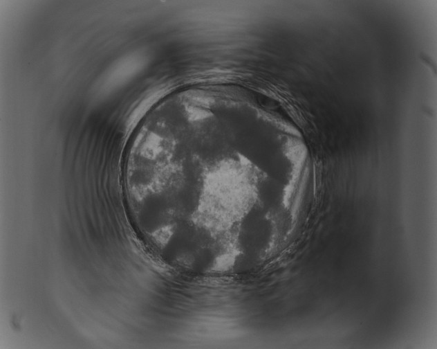 X0000100870147200807181244