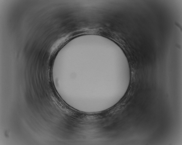 X0000100870149200807181244