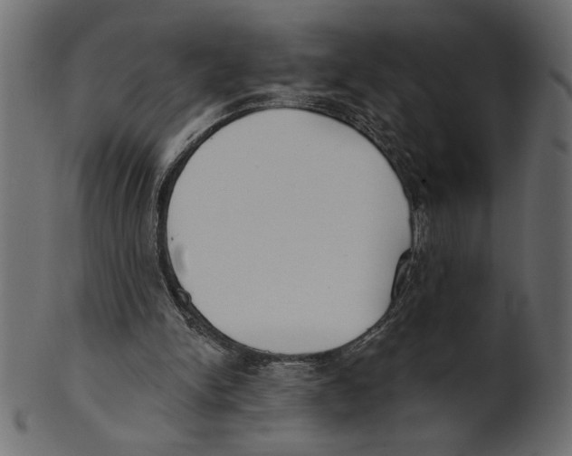 X0000100870150200807181244