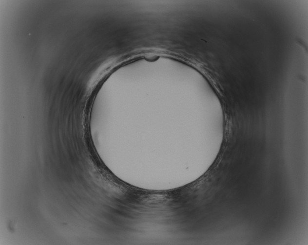 X0000100870151200807181244
