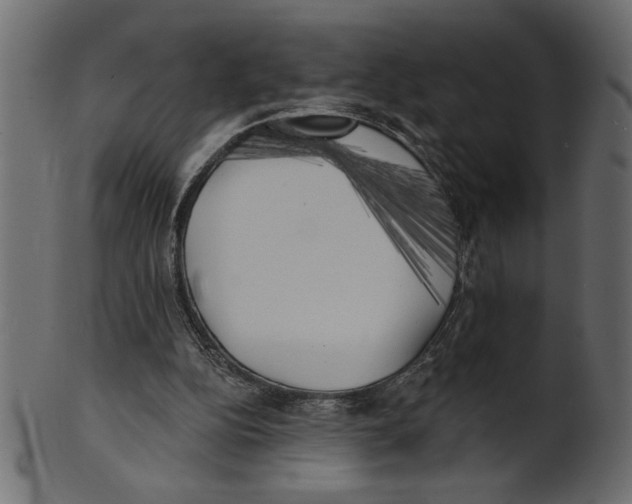 X0000100870152200807181244
