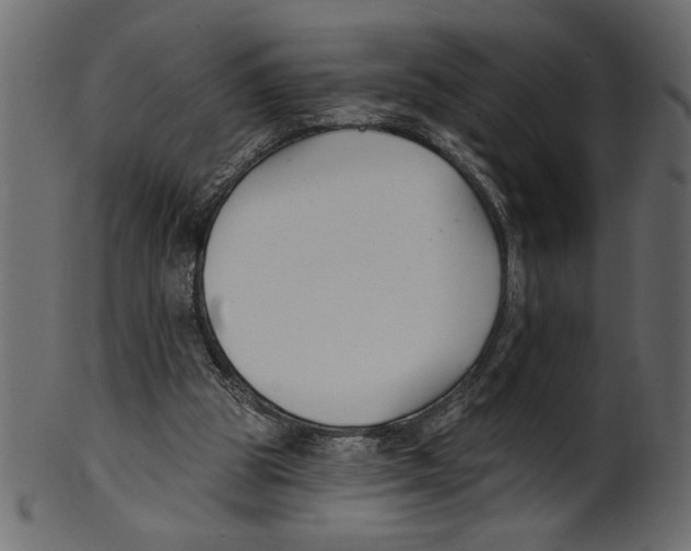 X0000100870153200807181244