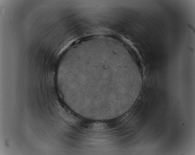 X0000100870154200807181244