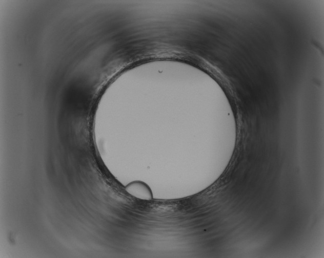X0000100870155200807181244