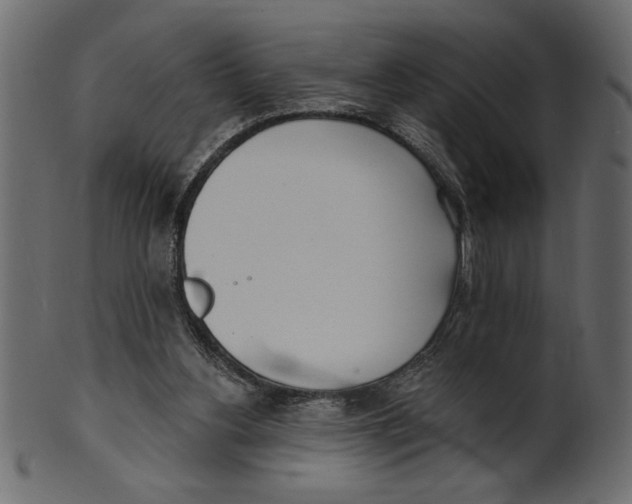 X0000100870156200807181244