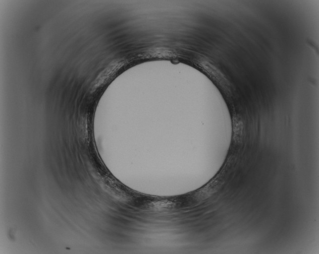 X0000100870158200807181244
