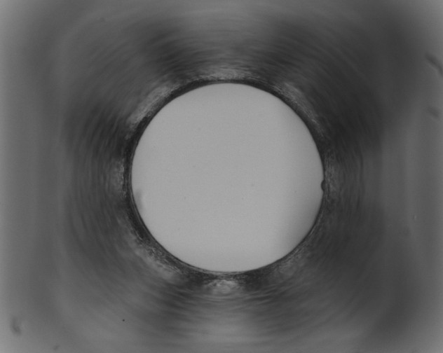 X0000100870159200807181244