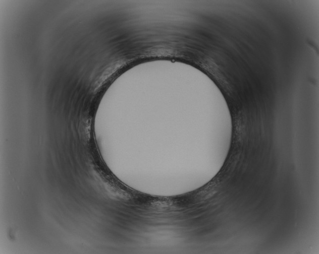 X0000100870160200807181244