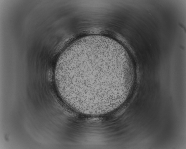 X0000100870161200807181244