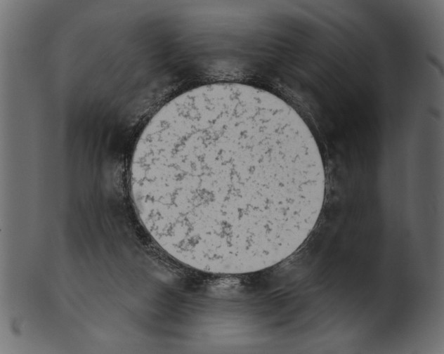 X0000100870162200807181244