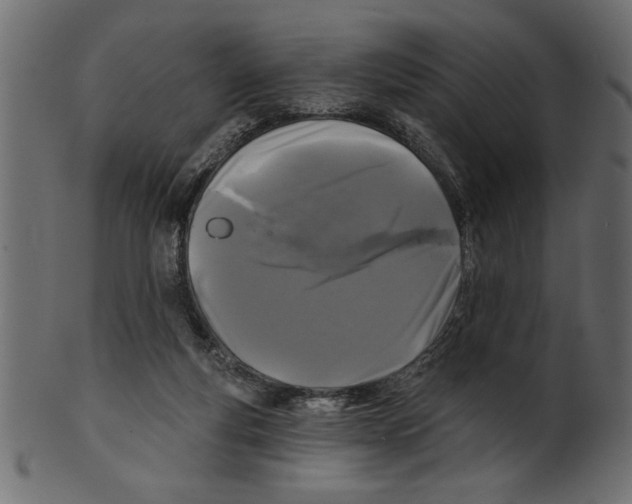 X0000100870163200807181244