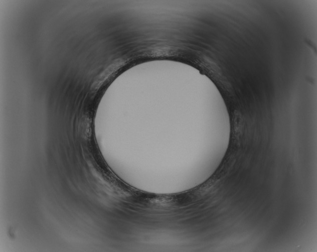 X0000100870164200807181244