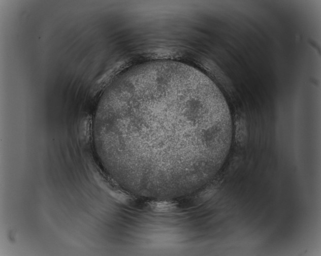 X0000100870165200807181244