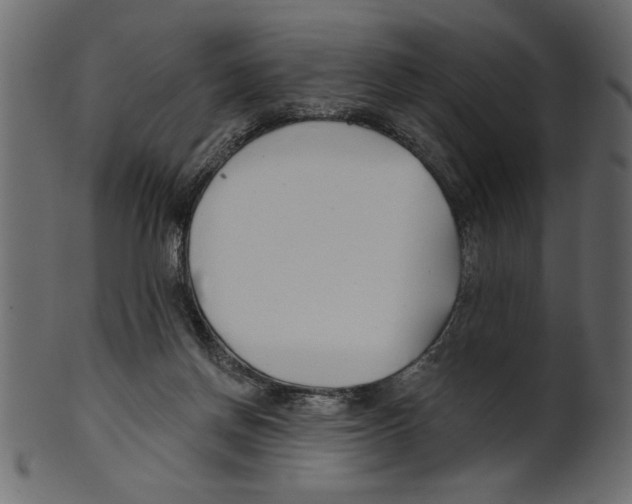 X0000100870166200807181244