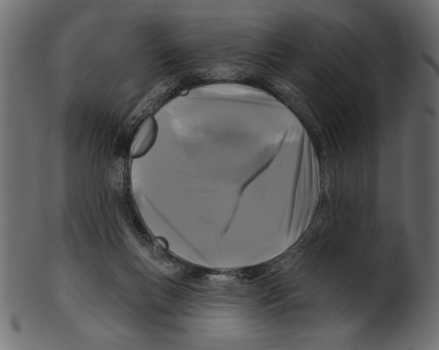 X0000100870167200807181244