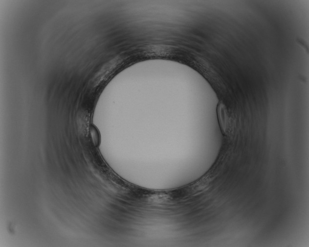 X0000100870168200807181244