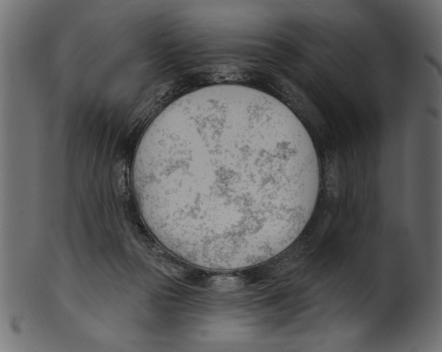 X0000100870169200807181244