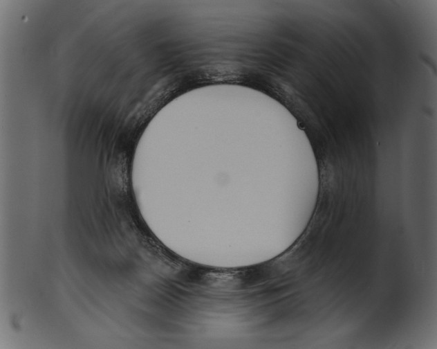 X0000100870170200807181244