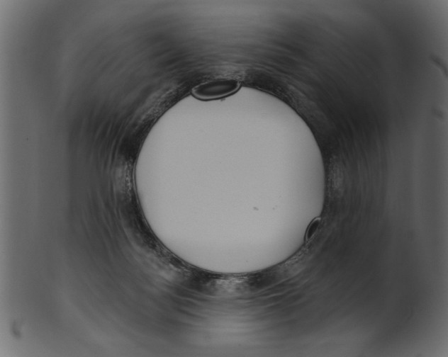X0000100870172200807181244