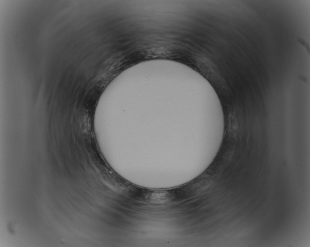 X0000100870173200807181244